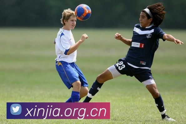 App Interface Preview