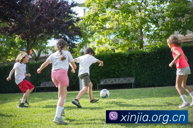 米兰app网页版登录入口APP 封面图